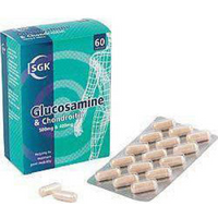 Allicin Max Glucosamine 500mg with Chondroitin 400mg 60 Capsule