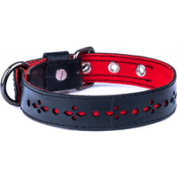 Eco Friendly Recycled Inner Tube Vegan Dog Collar