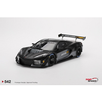 Chevrolet Corvette Z06 GT3.R 2023 Road America Test Car 1:18 Scale TSM TS0542