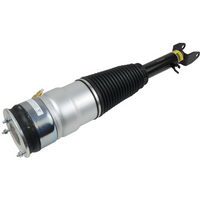 D2P Air Suspension Shock Strut Replacement For Front Compatible With 2012 - 2015 Tesla Model Replaces 600635100C