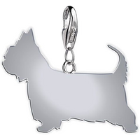 Australian Silky Terrier Silhouette Silver Charm