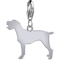 German Longhaired Pointer Silhouette Silver Charm