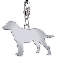 Chesapeake Bay Retriever Silhouette Silver Charm