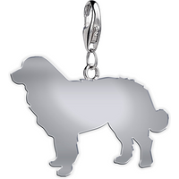 Bernese Mountain Dog Silhouette Silver Charm