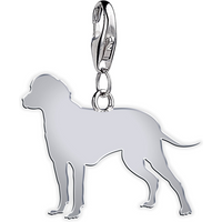 Bavarian Mountain Hound Silhouette Silver Charm