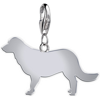 Flat-Coated Retriever Silhouette Silver Charm