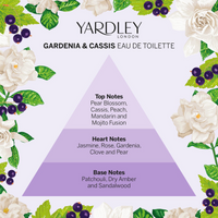 Yardley London Gardenia and Cassis Eau de Toilette 125ml