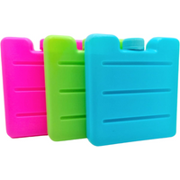 Generise Mini Freezer Blocks - 6 Pack