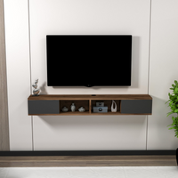 Floating TV Stand with Shelves and Cabinets Colin