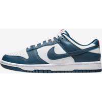Nike Dunk Low Men's Lifestyle Sneakers