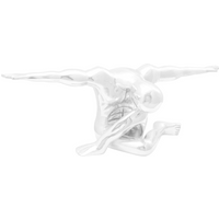 vidaXL Sculpture Silver 91.5 x 32 x 33 cm Aluminium