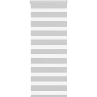 vidaXL Zebra Blind Light Grey 60x100 cm Fabric Width 55.9 cm Polyester