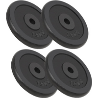 vidaXL Weight Plates 4 pcs 4x7.5 kg Cast Iron