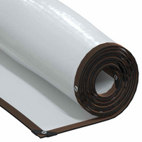 vidaXL Clear Tarpaulin with Eyelets 3x3 m Polyethylene