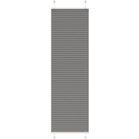 vidaXL Pleated Blind Anthracite 55x200 cm Fabric Width 54.4 cm Polyester