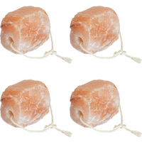 vidaXL Salt Lick Stones Pink Rock salt