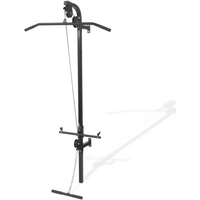 vidaXL Wall-mounted Home Gym with 2 Pulleys