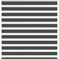 vidaXL Zebra Blind Black 145x100 cm Fabric Width 140.9 cm Polyester