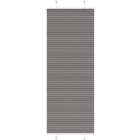 vidaXL Pleated Blind Anthracite 70x200 cm Fabric Width 69.4 cm Polyester