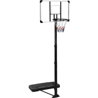 vidaXL Basketball Stand Transparent 256-361 cm Polycarbonate