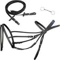 Leather Flash Bridle with Reins and Bit Black Full