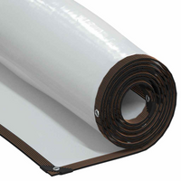 vidaXL Clear Tarpaulin with Eyelets 1x6 m Polyethylene
