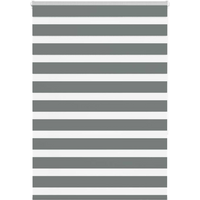 vidaXL Zebra Blind Dark Grey 100x150 cm Fabric Width 95.9 cm Polyester