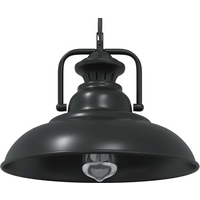 vidaXL Pendant Lamp E27 Black Ø 31 cm Iron