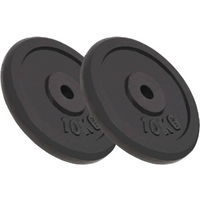vidaXL Weight Plates 2 pcs 2x10 kg Cast Iron