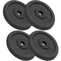 vidaXL Weight Plates 4 pcs 4x5 kg Cast Iron