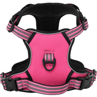 vidaXL Dog Harness with Lead & Collar Adjustable Pink L