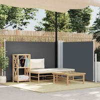 vidaXL Retractable Side Awning Anthracite 120x600 cm