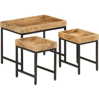 vidaXL Nesting Coffee Tables 3 pcs Solid Rough Mango Wood and Iron