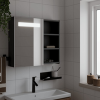 vidaXL Bathroom Mirror Cabinet with LED Light Black 60x13x52 cm