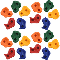 vidaXL Climbing Stones 20 pcs Multicolour PE