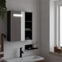 vidaXL Bathroom Mirror Cabinet with LED Light Black 45x13x52 cm