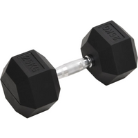 vidaXL Dumbbell 25 kg Cast Iron