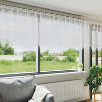 vidaXL Lace Curtain with Curtains White 500 x 120 cm Polyester