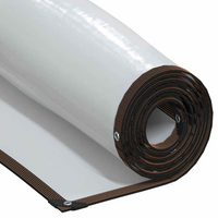 vidaXL Clear Tarpaulin with Eyelets 3x4 m Polyethylene