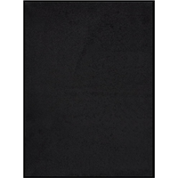 vidaXL Doormat Black 60x80 cm