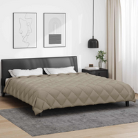 vidaXL Winter Duvet Light Grey 240 x 200 cm Microfiber
