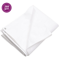 vidaXL Tarpaulin 260 g/m² 4x8 m White HDPE