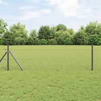 vidaXL Fence Post Grey 25 x 0.8 m (50 mm mesh) Steel and PVC