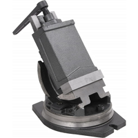 vidaXL 2-Axis Tilting Vice 160 mm