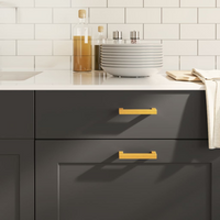 vidaXL Cabinet Handles 20 pcs Gold 96 mm Stainless Steel