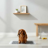 vidaXL Non-woven Fabric Pet Training Pad 400 pcs 60 x 60 cm