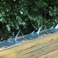 vidaXL Wall Spikes 25 pcs Steel 1 m