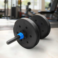 vidaXL Weight Plates 10 kg 4 pcs Black Ø 21.5 x 3.8 cm