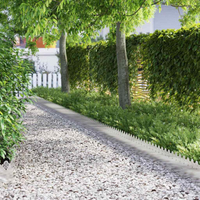 vidaXL Lawn Edgings 30 pcs Silver 103 x 0.05 x 22 cm Stainless Steel