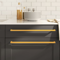 vidaXL Cabinet Handles 20 pcs Gold 480 mm Stainless Steel